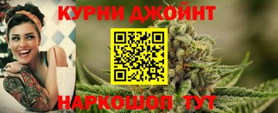 шишки Дубна