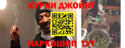 шишки Дубна