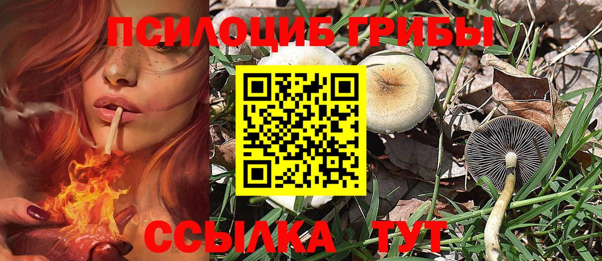 Галлюциногенные грибы MAGIC MUSHROOMS  Вход с VPN  Галлюциногенные грибы Psilocybe  Иваново 